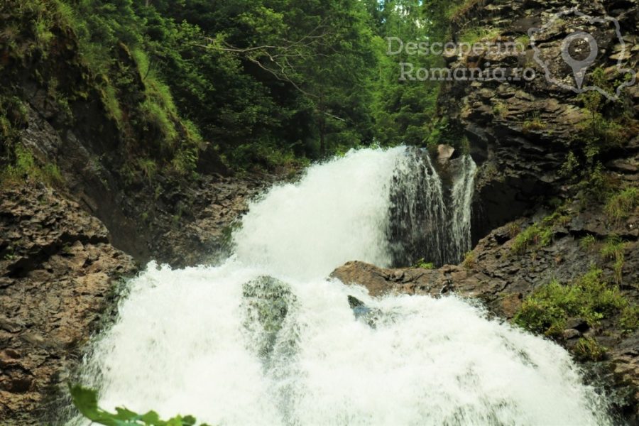 Cascada-Vălul-Miresei-voalul-munților-Vlădeasa-7-900x600 Cascada Vălul Miresei - voalul munților Vlădeasa (7)