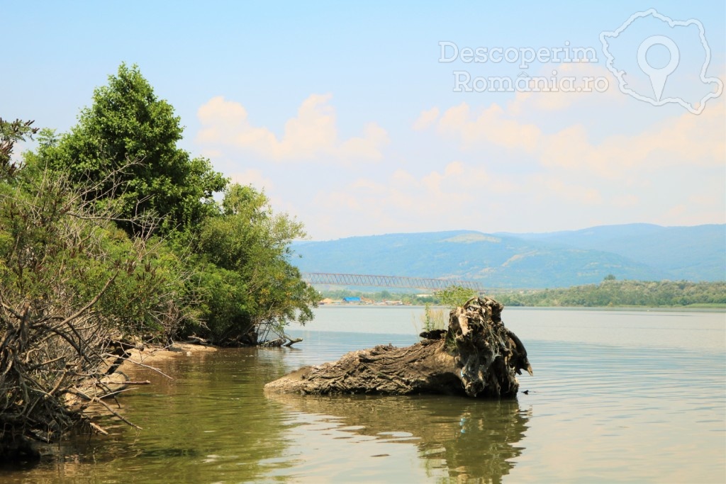 Pensiunea Danubio din Coronini