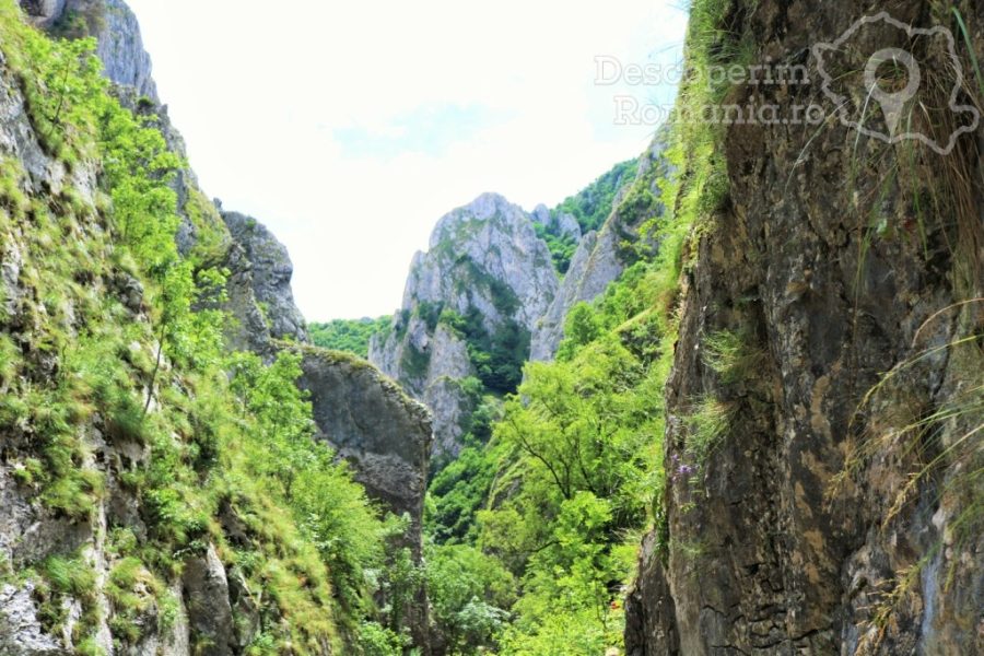 Cheile-Turzii-39-900x600 Cheile Turzii (39)