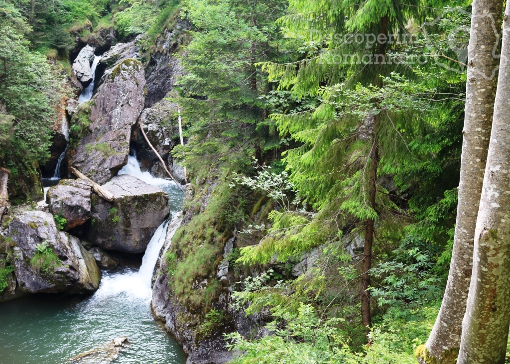 Valea-Iadului Excursie cu barca în Clisura Dunării