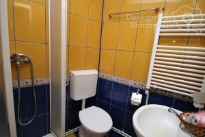 Cazare-la-Complex-Turistic-Valahia-din-Brezoi-Valcea-Valea-Lotrului-154-Pensiunea-Paradis-300x200 cazare-la-complex-turistic-valahia-din-brezoi-valcea-valea-lotrului-154-pensiunea-paradis