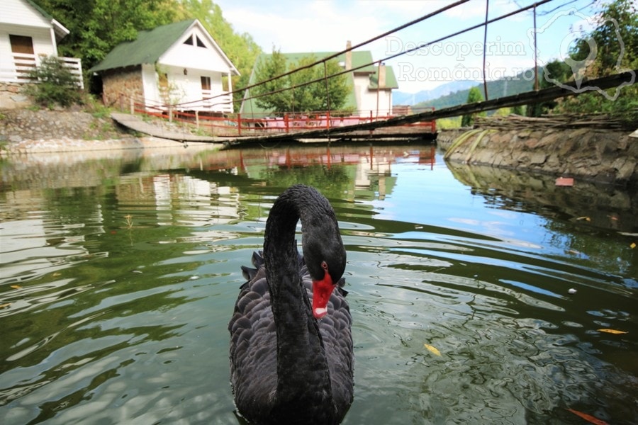 Complex Turistic Valahia din Brezoi