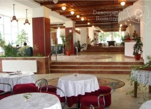 Cazare-la-Hotel-Moneasa-din-Moneasa-Arad-Crisana-12-300x217 cazare-la-hotel-moneasa-din-moneasa-arad-crisana-12