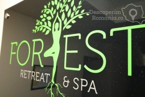 Forest-Retreat-and-Spa-din-Maciuca-35-300x200 forest-retreat-and-spa-din-maciuca-35