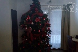 Cazare-la-Pensiunea-Dorel-Codoban-din-Lazuri-Bihor-Muntii-Apuseni-DescoperimRomania-24-300x200 cazare-la-pensiunea-dorel-codoban-din-lazuri-bihor-muntii-apuseni-descoperimromania-24