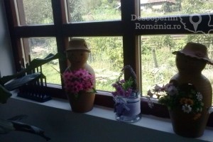 Cazare-la-Pensiunea-Dorel-Codoban-din-Lazuri-Bihor-Muntii-Apuseni-DescoperimRomania-32-300x200 cazare-la-pensiunea-dorel-codoban-din-lazuri-bihor-muntii-apuseni-descoperimromania-32