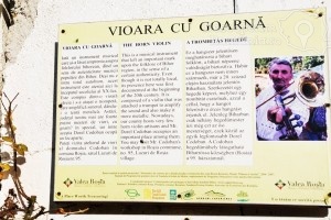 Cazare-la-Pensiunea-Dorel-Codoban-din-Lazuri-Bihor-Muntii-Apuseni-DescoperimRomania-50-300x200 cazare-la-pensiunea-dorel-codoban-din-lazuri-bihor-muntii-apuseni-descoperimromania-50