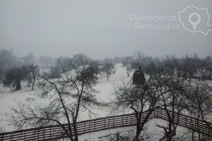 Cazare-la-Pensiunea-Dorel-Codoban-din-Lazuri-Bihor-Muntii-Apuseni-DescoperimRomania-64-300x200 cazare-la-pensiunea-dorel-codoban-din-lazuri-bihor-muntii-apuseni-descoperimromania-64