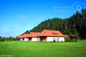 Cazare-la-Pensiunea-Sapte-Flori-din-Gheorgheni-Tinutul-Secuiesc-Harghita-DescoperimRomania.ro-10-300x200 cazare-la-pensiunea-sapte-flori-din-gheorgheni-tinutul-secuiesc-harghita-descoperimromania-ro-10