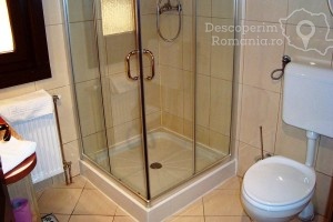 Cazare-la-Pensiunea-Sapte-Flori-din-Gheorgheni-Tinutul-Secuiesc-Harghita-DescoperimRomania.ro-18-300x200 cazare-la-pensiunea-sapte-flori-din-gheorgheni-tinutul-secuiesc-harghita-descoperimromania-ro-18