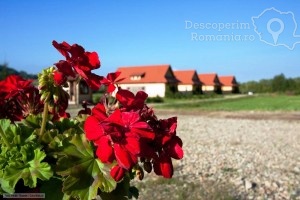 Cazare-la-Pensiunea-Sapte-Flori-din-Gheorgheni-Tinutul-Secuiesc-Harghita-DescoperimRomania.ro-3-300x200 cazare-la-pensiunea-sapte-flori-din-gheorgheni-tinutul-secuiesc-harghita-descoperimromania-ro-3