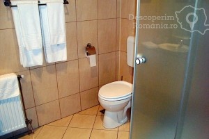 Cazare-la-Pensiunea-Sapte-Flori-din-Gheorgheni-Tinutul-Secuiesc-Harghita-DescoperimRomania.ro-31-300x200 cazare-la-pensiunea-sapte-flori-din-gheorgheni-tinutul-secuiesc-harghita-descoperimromania-ro-31