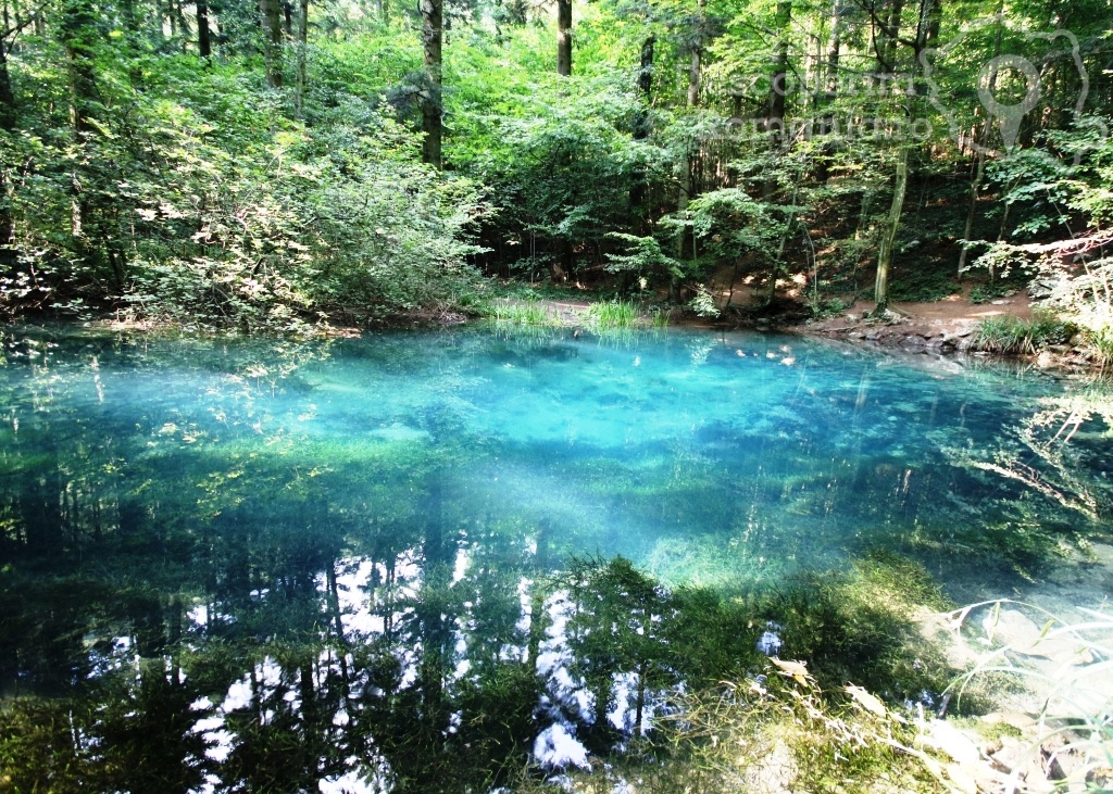 Lacul-Ochiu-Bei Lacul Pădurice - mic refugiu