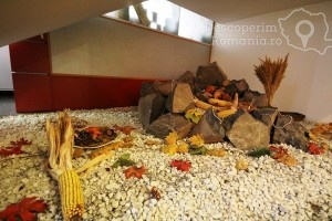 Cazare-la-Hotel-Vandia-din-Timisoara-Timis-Banat-DescoperimRomania.ro-108-300x200 cazare-la-hotel-vandia-din-timisoara-timis-banat-descoperimromania-ro-108