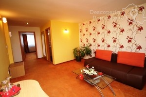 Cazare-la-Hotel-Vandia-din-Timisoara-Timis-Banat-DescoperimRomania.ro-19-300x200 cazare-la-hotel-vandia-din-timisoara-timis-banat-descoperimromania-ro-19