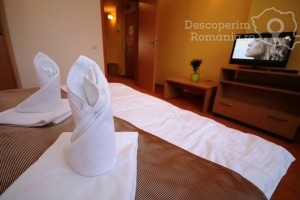 Cazare-la-Hotel-Vandia-din-Timisoara-Timis-Banat-DescoperimRomania.ro-26-300x200 cazare-la-hotel-vandia-din-timisoara-timis-banat-descoperimromania-ro-26