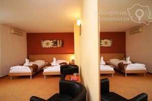Cazare-la-Hotel-Vandia-din-Timisoara-Timis-Banat-DescoperimRomania.ro-39-300x200 cazare-la-hotel-vandia-din-timisoara-timis-banat-descoperimromania-ro-39