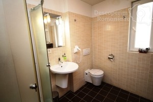 Cazare-la-Hotel-Vandia-din-Timisoara-Timis-Banat-DescoperimRomania.ro-40-300x200 cazare-la-hotel-vandia-din-timisoara-timis-banat-descoperimromania-ro-40