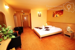 Cazare-la-Hotel-Vandia-din-Timisoara-Timis-Banat-DescoperimRomania.ro-50-300x200 cazare-la-hotel-vandia-din-timisoara-timis-banat-descoperimromania-ro-50