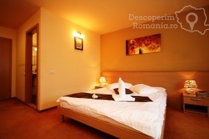 Cazare-la-Hotel-Vandia-din-Timisoara-Timis-Banat-DescoperimRomania.ro-53-300x200 cazare-la-hotel-vandia-din-timisoara-timis-banat-descoperimromania-ro-53