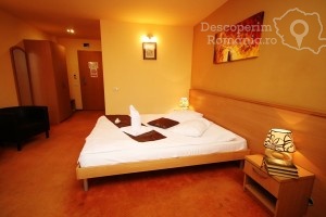 Cazare-la-Hotel-Vandia-din-Timisoara-Timis-Banat-DescoperimRomania.ro-54-300x200 cazare-la-hotel-vandia-din-timisoara-timis-banat-descoperimromania-ro-54