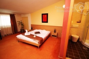 Cazare-la-Hotel-Vandia-din-Timisoara-Timis-Banat-DescoperimRomania.ro-71-300x200 cazare-la-hotel-vandia-din-timisoara-timis-banat-descoperimromania-ro-71