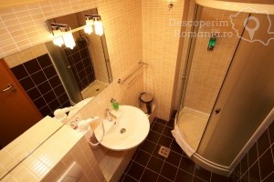 Cazare-la-Hotel-Vandia-din-Timisoara-Timis-Banat-DescoperimRomania.ro-79-300x200 cazare-la-hotel-vandia-din-timisoara-timis-banat-descoperimromania-ro-79