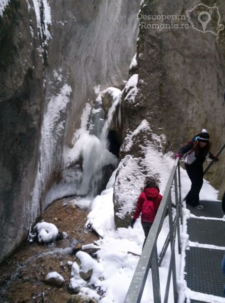 Canionul-Șapte-Scări-șapte-scări-și-șapte-cascade-laolaltă-2-445x600 canionul-sapte-scari-sapte-scari-si-sapte-cascade-laolalta-2