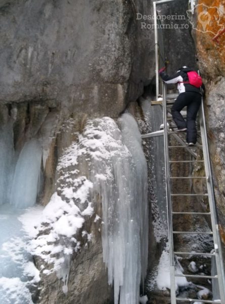 Canionul-Șapte-Scări-șapte-scări-și-șapte-cascade-laolaltă-3-445x600 canionul-sapte-scari-sapte-scari-si-sapte-cascade-laolalta-3