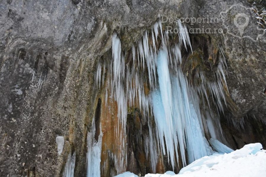 Canionul-Șapte-Scări-șapte-scări-și-șapte-cascade-laolaltă-4-900x600 canionul-sapte-scari-sapte-scari-si-sapte-cascade-laolalta-4