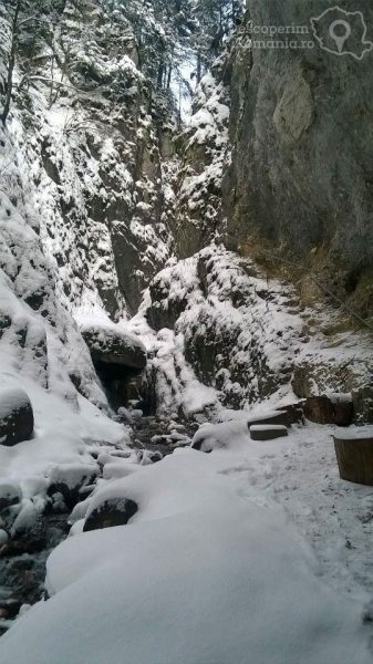 Canionul-Șapte-Scări-șapte-scări-și-șapte-cascade-laolaltă-7-337x600 canionul-sapte-scari-sapte-scari-si-sapte-cascade-laolalta-7