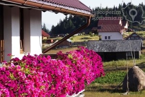 Cazare-la-Pensiunea-Popasul-Transilvania-din-Piatra-Fantanele-Transilvania-Bistrita-Nasaud-DescoperimRomania-15-min-300x200 cazare-la-pensiunea-popasul-transilvania-din-piatra-fantanele-transilvania-bistrita-nasaud-descoperimromania-15-min
