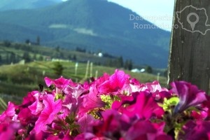 Cazare-la-Pensiunea-Popasul-Transilvania-din-Piatra-Fantanele-Transilvania-Bistrita-Nasaud-DescoperimRomania-18-min-300x200 cazare-la-pensiunea-popasul-transilvania-din-piatra-fantanele-transilvania-bistrita-nasaud-descoperimromania-18-min