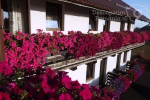 Cazare-la-Pensiunea-Popasul-Transilvania-din-Piatra-Fantanele-Transilvania-Bistrita-Nasaud-DescoperimRomania-19-min-300x200 cazare-la-pensiunea-popasul-transilvania-din-piatra-fantanele-transilvania-bistrita-nasaud-descoperimromania-19-min
