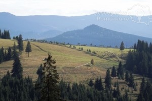 Cazare-la-Pensiunea-Popasul-Transilvania-din-Piatra-Fantanele-Transilvania-Bistrita-Nasaud-DescoperimRomania-22-min-300x200 cazare-la-pensiunea-popasul-transilvania-din-piatra-fantanele-transilvania-bistrita-nasaud-descoperimromania-22-min