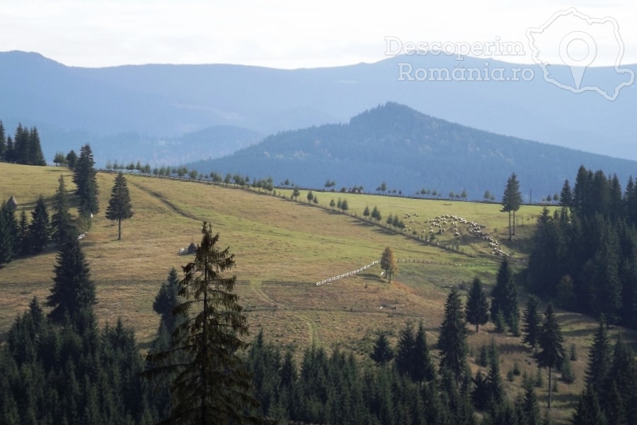 Pensiunea Popasul Transilvania din Piatra Fantanele