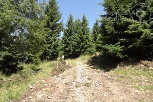 Cazare-la-Pensiunea-Popasul-Transilvania-din-Piatra-Fantanele-Transilvania-Bistrita-Nasaud-DescoperimRomania-30-min-300x200 cazare-la-pensiunea-popasul-transilvania-din-piatra-fantanele-transilvania-bistrita-nasaud-descoperimromania-30-min