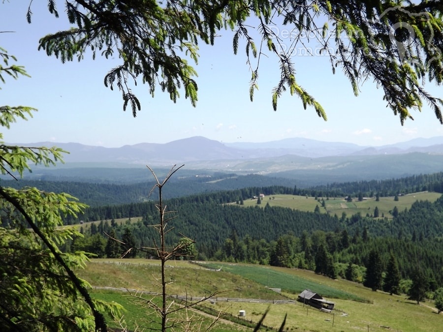 Pensiunea Popasul Transilvania din Piatra Fantanele