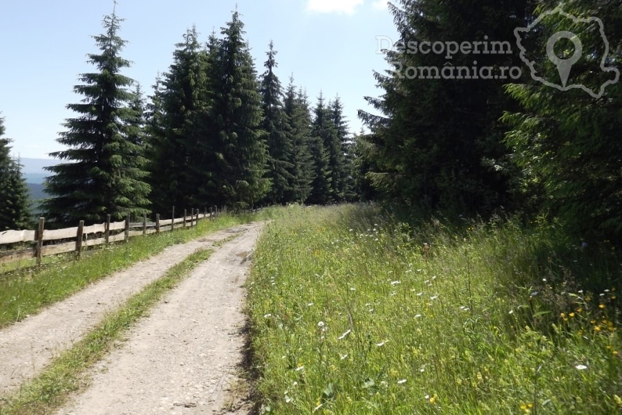 Pensiunea Popasul Transilvania din Piatra Fantanele