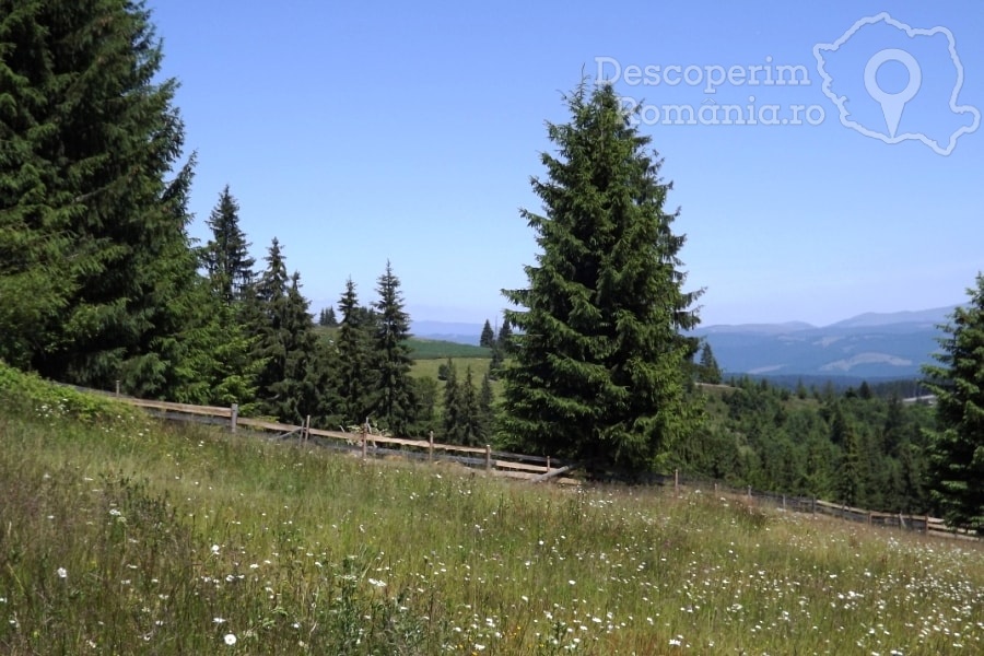 Pensiunea Popasul Transilvania din Piatra Fantanele