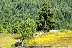 Cazare-la-Pensiunea-Popasul-Transilvania-din-Piatra-Fantanele-Transilvania-Bistrita-Nasaud-DescoperimRomania-40-min-300x200 cazare-la-pensiunea-popasul-transilvania-din-piatra-fantanele-transilvania-bistrita-nasaud-descoperimromania-40-min