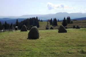 Cazare-la-Pensiunea-Popasul-Transilvania-din-Piatra-Fantanele-Transilvania-Bistrita-Nasaud-DescoperimRomania-41-min-300x200 cazare-la-pensiunea-popasul-transilvania-din-piatra-fantanele-transilvania-bistrita-nasaud-descoperimromania-41-min