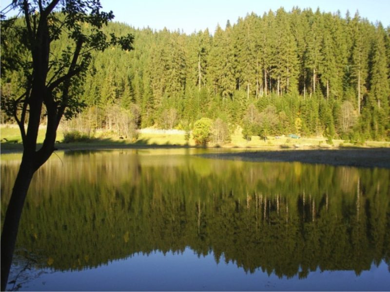 Lacul-Iezer-–-Inima-Bucovinei-800x600 Lacul Iezer – Inima Bucovinei