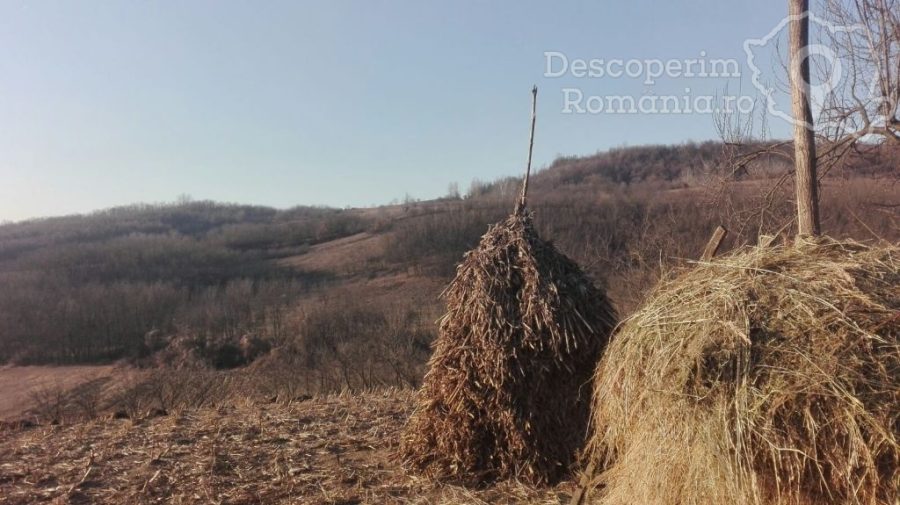 Valea-Poienii-satul-uitat-și-de-sătenii-6-900x505 Valea Poienii- satul uitat și de sătenii (6)