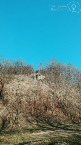 Valea-Poienii-satul-uitat-și-de-sătenii-8-337x600 Valea Poienii- satul uitat și de sătenii (8)