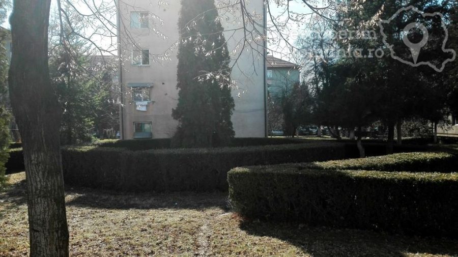Orașul-Motru-orașul-nostru-11-900x505 Orașul Motru- orașul nostru 11