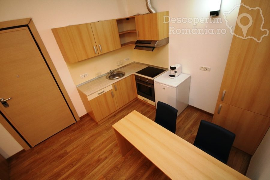 Apartament-Studio-Confort-Timișoara-din-Timișoara-Banat-13-900x600 Apartament Studio Confort Timișoara din Timișoara, Banat (13)