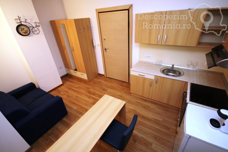Apartament-Studio-Confort-Timișoara-din-Timișoara-Banat-14-900x600 Apartament Studio Confort Timișoara din Timișoara, Banat (14)