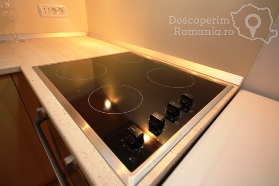 Apartament-Studio-Confort-Timișoara-din-Timișoara-Banat-17-900x600 Apartament Studio Confort Timișoara din Timișoara, Banat (17)