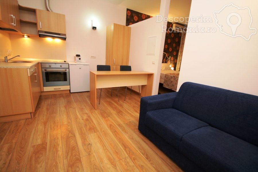 Apartament-Studio-Confort-Timișoara-din-Timișoara-Banat-20-900x600 Apartament Studio Confort Timișoara din Timișoara, Banat (20)